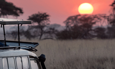Serengeti Northern Circuit 5 days safari