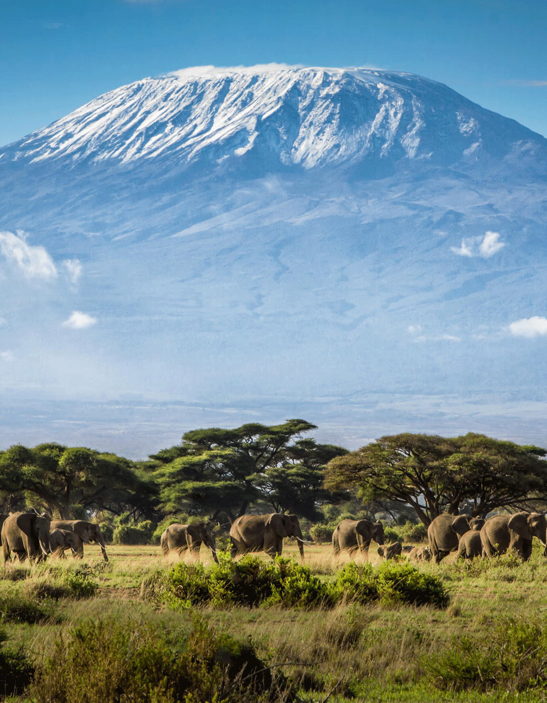 Adventure%20Batch%20Tanzania